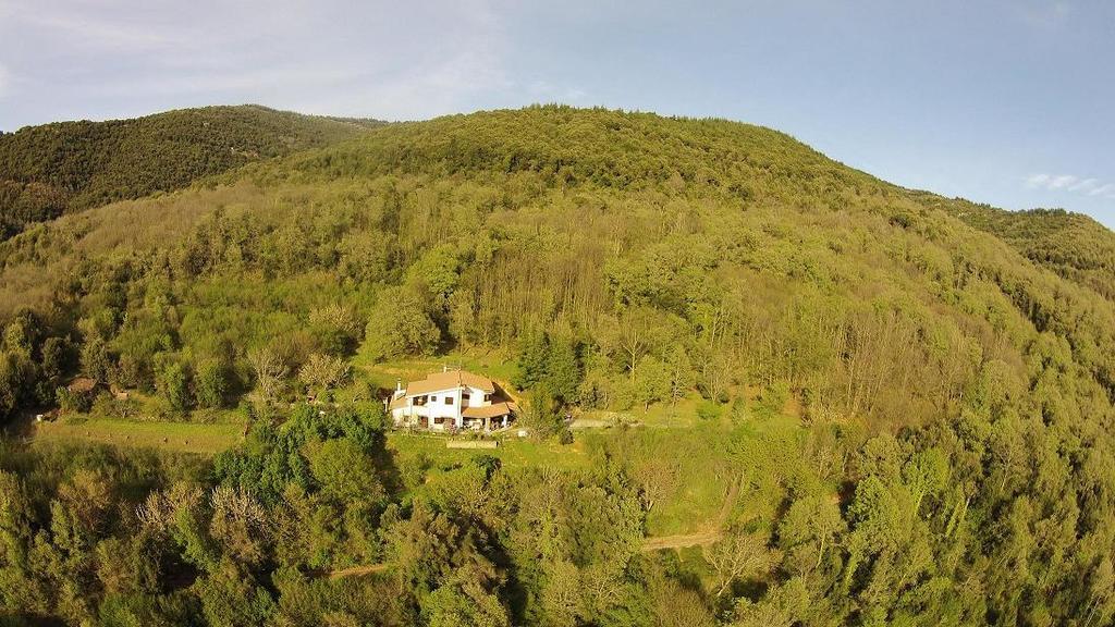 Mattale Tonara Exterior foto